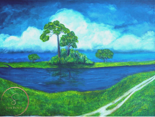 A Cloudy Day in Florida